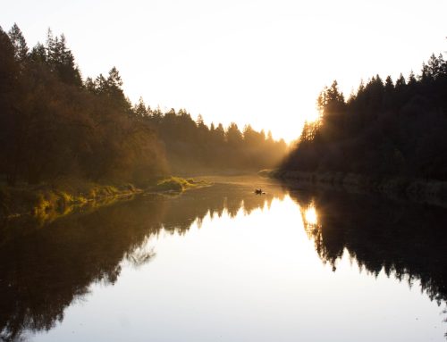 Paradise Found:  A paddle on the East Fork