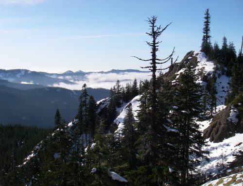 Bare Mountain