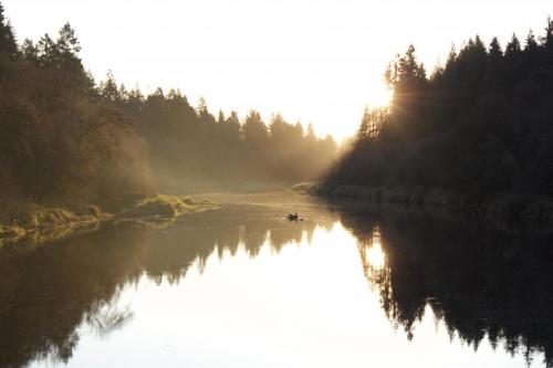 15D13197-0212-4A8A-A2A2-CA5F173E8190